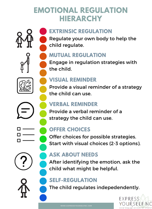 emotional regulation hierarchy